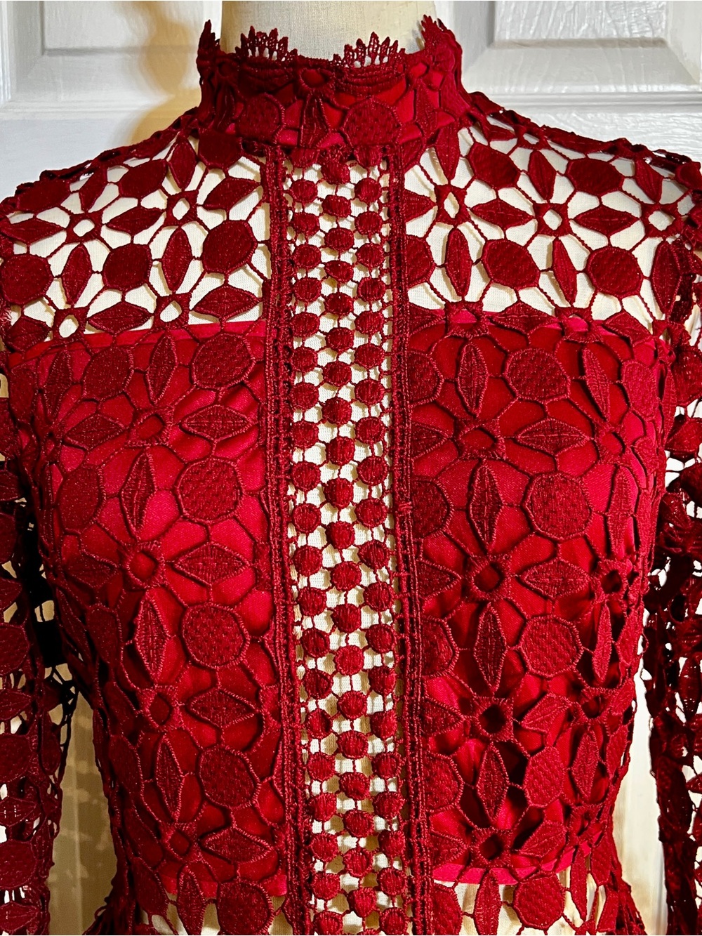 Eilly Bazar Wms Wine Lace Embroidery Cutout Inset Sheer Fit&Flare Mini Dress M - Picture 4 of 15